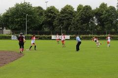 | Liga Universitária de Softebol Feminino |