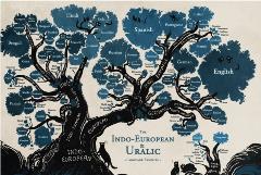 | Uma história de uma língua |